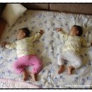 실버시스터즈