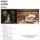 파피루스