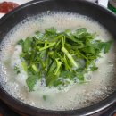 광주애견경매장 다이닝코드