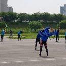 영롱이인라인 이미지