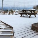 풀꽃마중 이미지