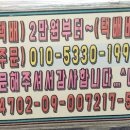 대성(4종)