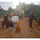 미옥농장 이미지