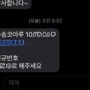 수송코아루 티스토리