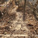 미골농장 이미지