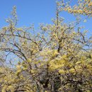 태양미장원 이미지