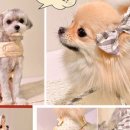 (주) 펫플라자 이미지