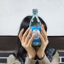 단비포차 이미지