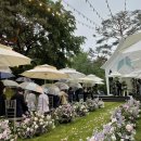 모스가든 이미지