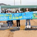 텃밭가꾸기 이미지