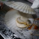 하은수산