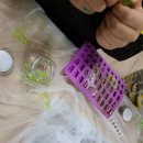 키즈꿈터어린이집 이미지