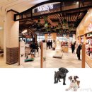 몰리스펫샵 스타필드시티 위례점 이미지