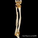 뿌리병원 이미지