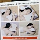 스파인닥터스 | 목이 편안한 메모리폼 숙면베개 닥터스파인 경추베개