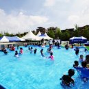 점섬체육관 이미지