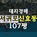 신효동-10 이미지