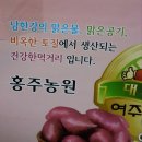 홍주농원