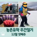 푸라닭 전남 해남점 | 보성 농촌유학 주간일기 12월 넷째주 / 스키캠프 / 남편과 함께하는 크리스마스 / 해남 땅끝마을