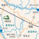 한국인삼약초