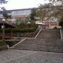 장유중학교 Daum카페