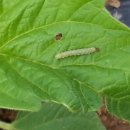 나주호농장 이미지