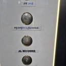 피다다이어트(피다)