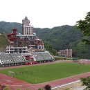 알곡종합운동장 Daum카페