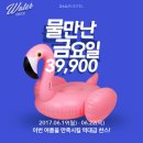 호텔데일리 이미지