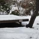 영일지게차 - 양주시 칠봉산로 224 | 화곡동에 불금이라 친구 세정이랑 놀러감