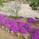 대관령 지니하우스 이미지