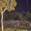 혁신LH1단지상가동 이미지