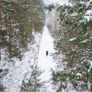 상관 공기마을 편백숲 | 완주 가볼만한곳, 상관 공기마을 편백숲 | 피톤치드 향기로 가득한 치유의 숲