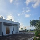 평대살래 | 🏡 제주민박 푸른 바다와 넓은 마당이 반기는 감성숙소 평대살래 후기