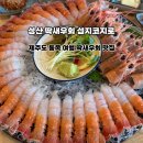섭지코지로 | 제주 동쪽 여행 성산일출봉 근처 딱새우회 맛집 섭지코지로