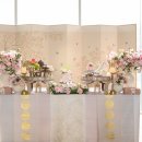 스테이그라피 이미지