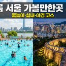 여름 서울 가볼만한곳 총정리 — 물놀이·실내 피서·야경 코스 8선