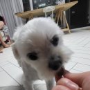 종로밝은약국 이미지