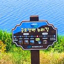대구둘레길 4코스 공산무태길 , 금호강변 누리길 산책로