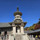 일번지펜션 | 경주 여행후기, 경주 갈만한 곳 황리단길 동궁과 월지 불국사 경주 감성 숙소 스테이 프라하