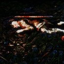 K.갤러리PC 이미지