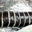 오쇼김밥 이미지