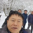 명동산장펜션 이미지