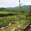 산아래 하우스 이미지