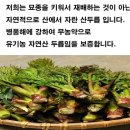 농부보따리 이미지