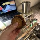 빈 오토 | [용인캠핑장] 용인 애견동반 가능한 에버오토캠핑장 1박2일 후기