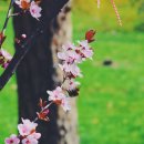 강선초등학교 이미지