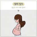 헤어36.5도C | 임산부 파마해도 되나요?
