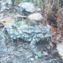 우면산3-13 이미지