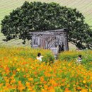 김영근 농장 이미지